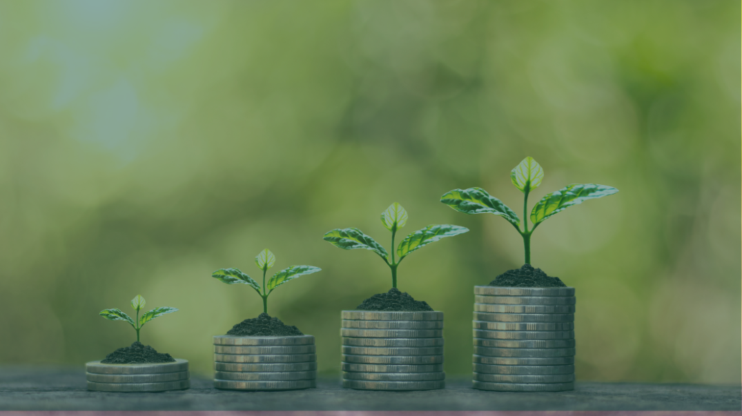 roi of sustainability